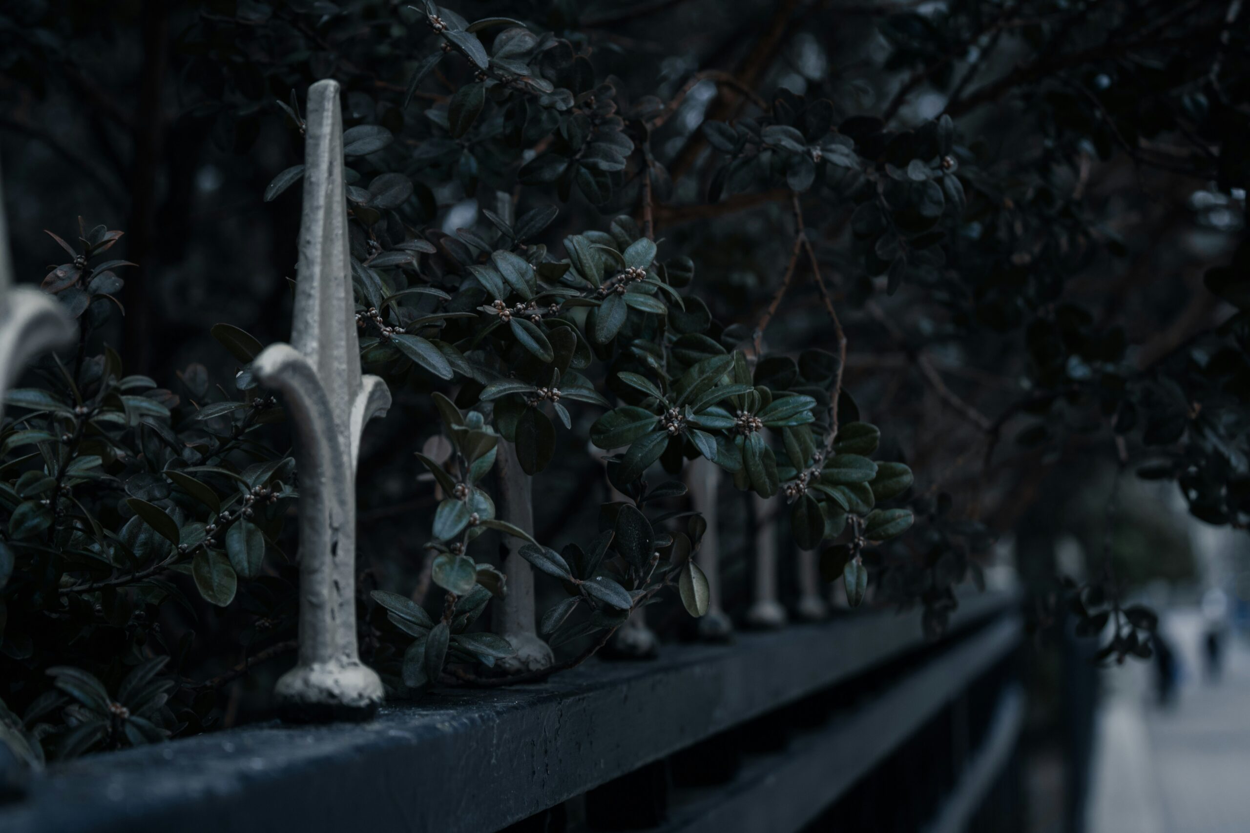Aged but Dangerous: Urban’s Johnny Cage Joins Earthrealm Defenders